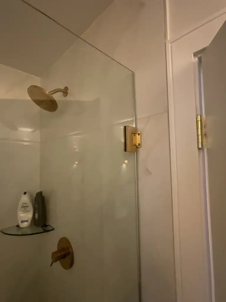 Frameless pivot shower door by Alpha Glass Ltd, project photo 4
